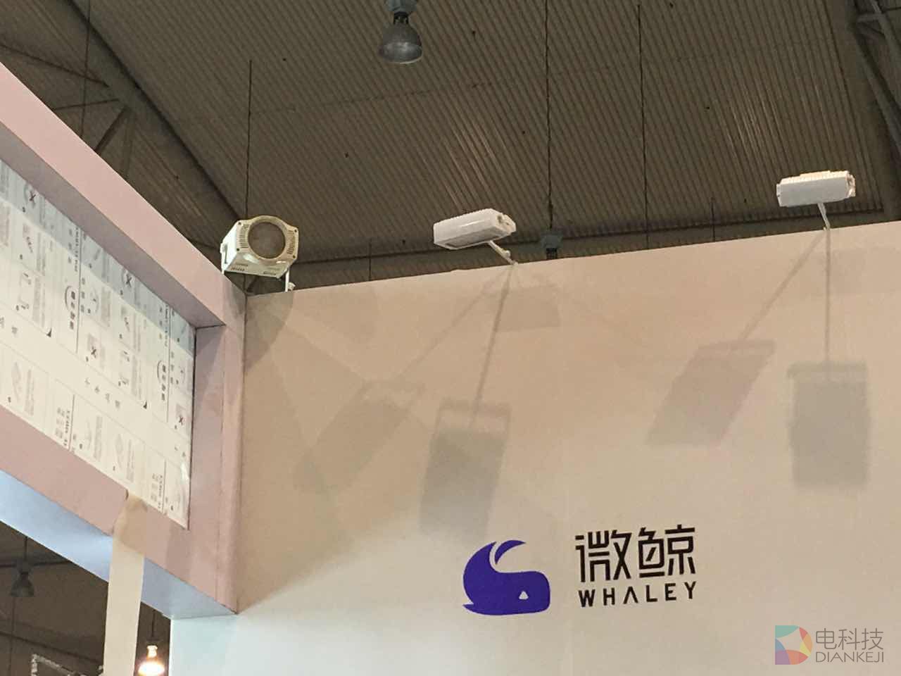 微鲸1.jpg